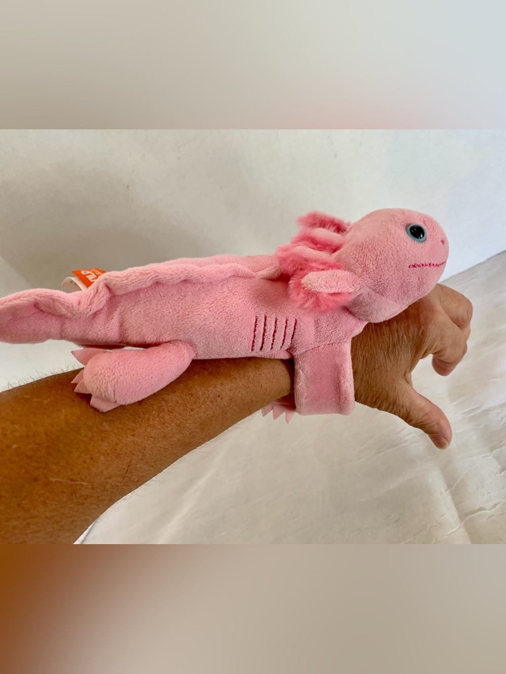 Plush Pink Small Pet Chew Toy - Soft Squeaky Plush